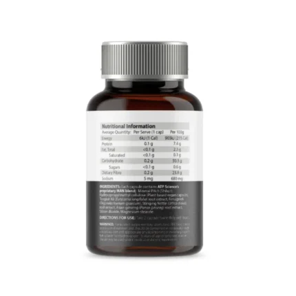 ALPHA JUPITER 02 webp