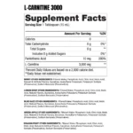 L CARNITINE 3000 1 webp