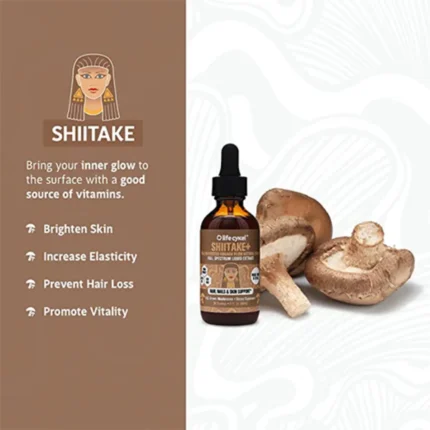 shiitake mushroom liquid extract big 2 webp
